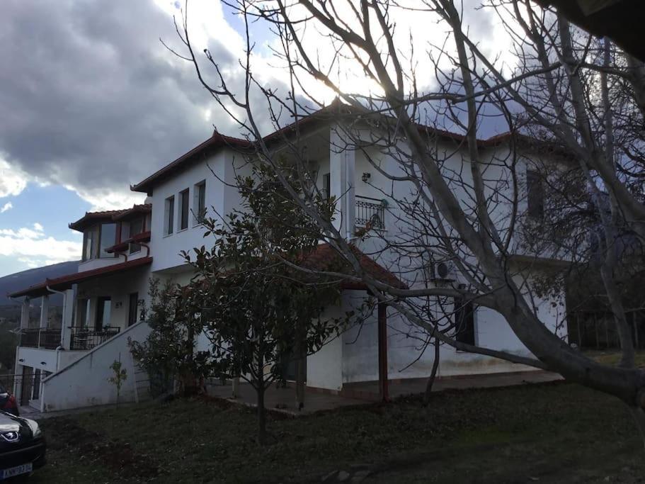 Villa_Kleio Litóhoro Kültér fotó